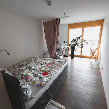 Apartment Cosy, Stylish New Flat With And Gym & Shuttle To Lifts Laax